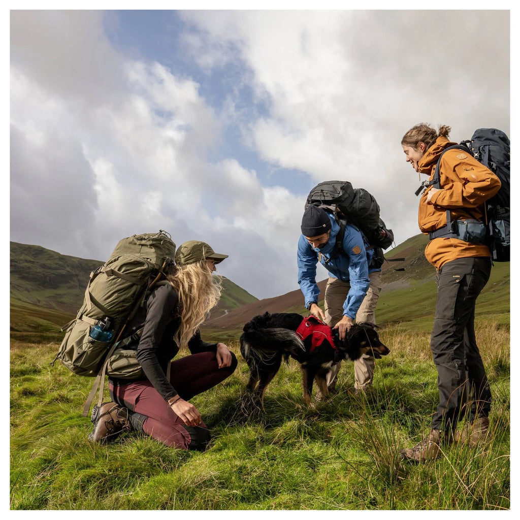 Abisko Trekking Tights HD W