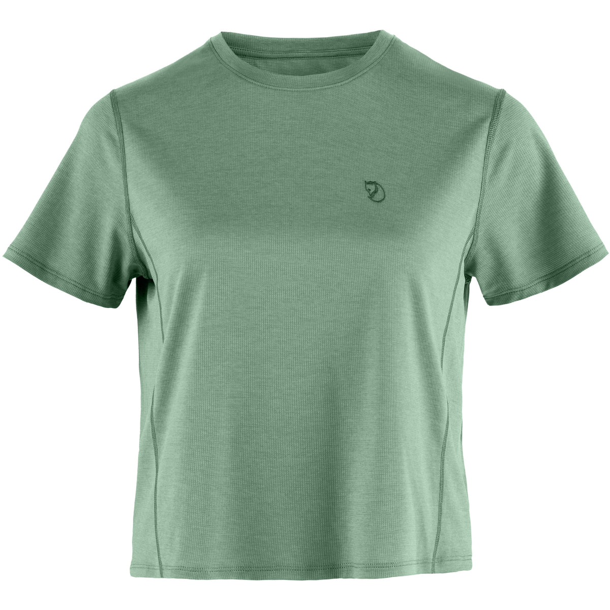 Abisko Day Hike Short SS W