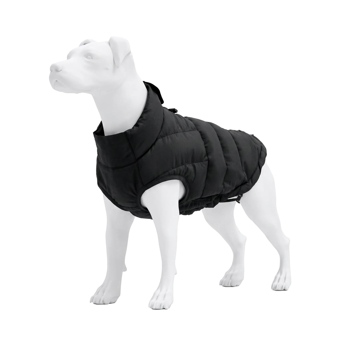 Expedition Dog Vest Black Edition