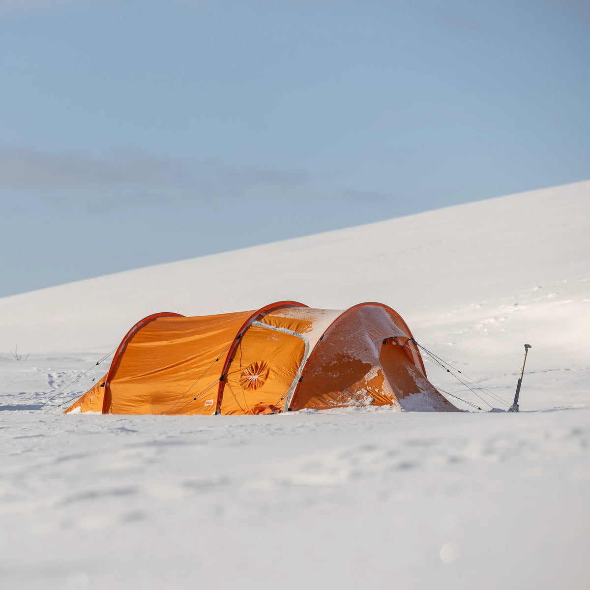 Polar Endurance 3