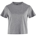 Abisko Day Hike Short SS W