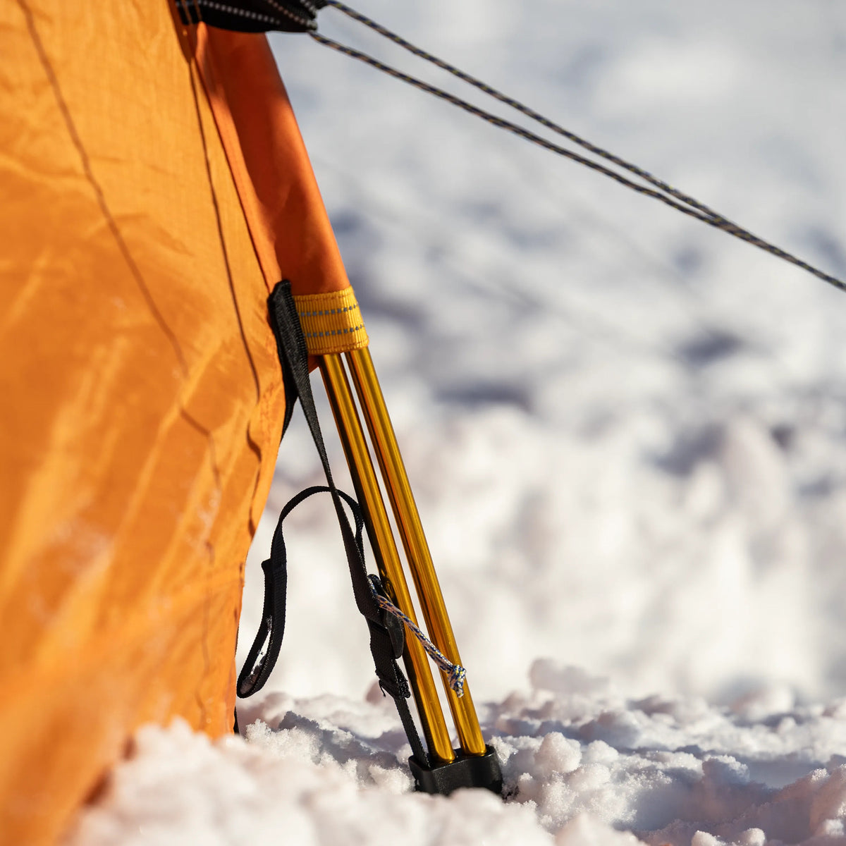 Polar Endurance 3