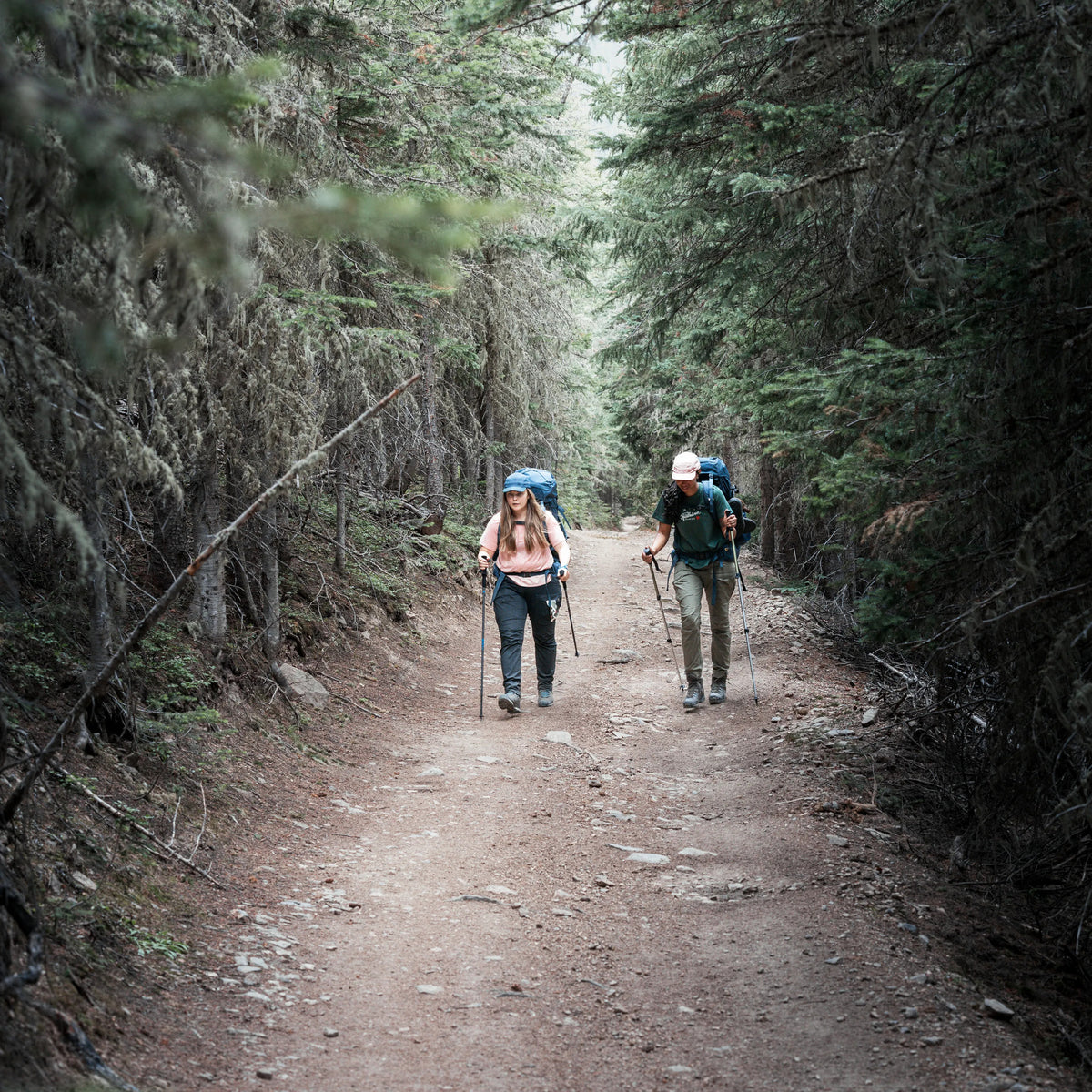 Abisko Hybrid Trail Trs W